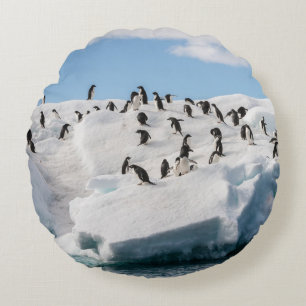 Gentoo Penguin Antarctica Iceberg Playtime Round Cushion