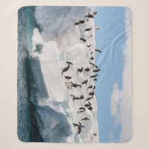 Gentoo Penguin Antarctica Iceberg Playtime Sherpa Blanket