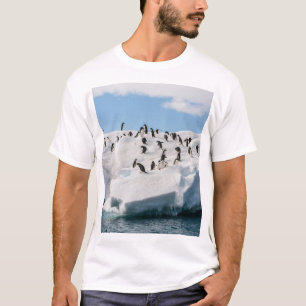 Gentoo Penguin Antarctica Iceberg Playtime T-Shirt
