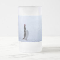 Gentoo penguin
