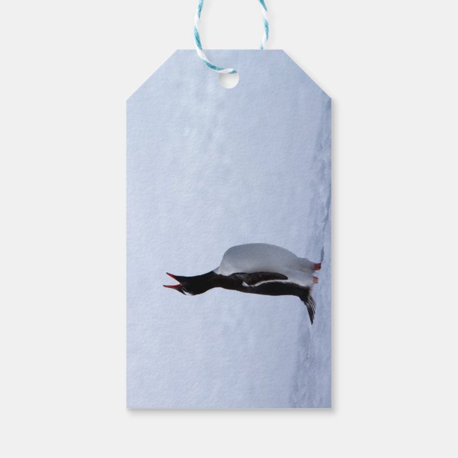 Gentoo penguin gift tags (Back)