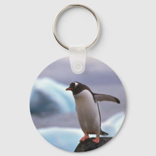 Gentoo Penguin Key Ring
