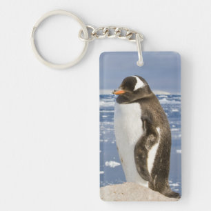 Gentoo Penguin Key Ring