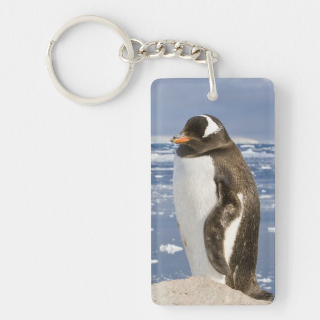 Gentoo Penguin Key Ring (Front)