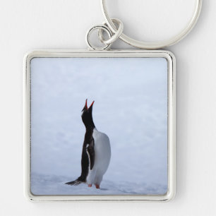 Gentoo penguin key ring