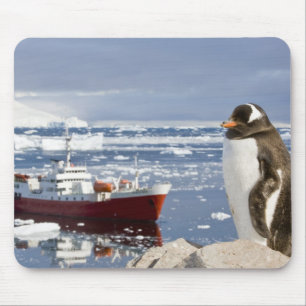 Gentoo Penguin Mouse Mat