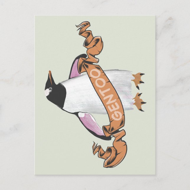 Gentoo penguin postcard (Front)