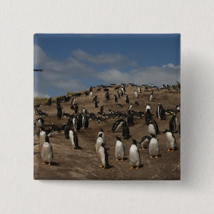 Gentoo Penguin (Pygoscelis papua) colony on West 15 Cm Square Badge