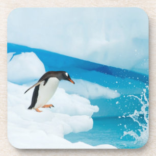 gentoo penguin, Pygoscelis Papua, jumping off Coaster
