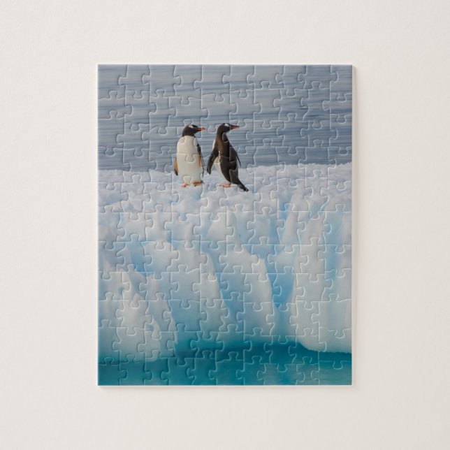 gentoo penguin, Pygoscelis Papua, on glacial ice Jigsaw Puzzle (Vertical)