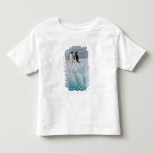 gentoo penguin, Pygoscelis Papua, on glacial ice Toddler T-Shirt