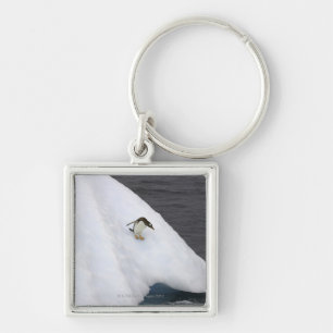 Gentoo penguin Pygoscelis papua) standing Key Ring