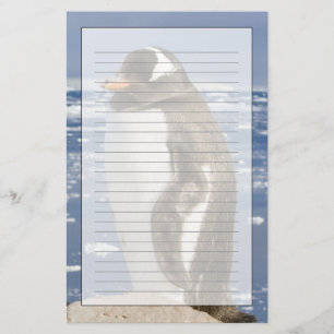 Gentoo Penguin Stationery