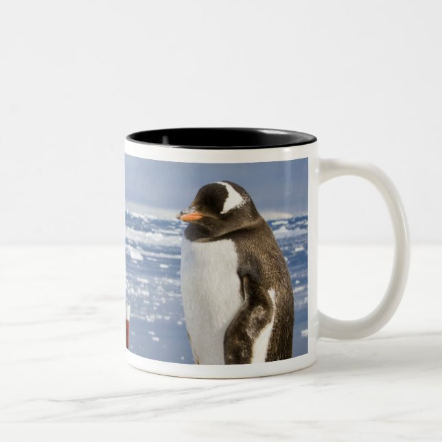 Gentoo Penguin Two-Tone Coffee Mug (Right)