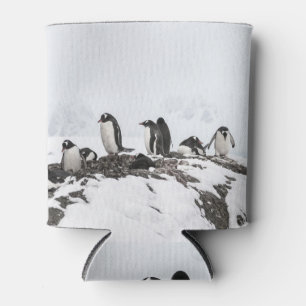 Gentoo penguins, Antarctica, Vernadsky Station. Can Cooler