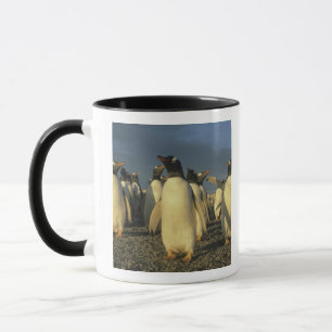 Gentoo Penguins, (Pygoscelis papua), Falkland Mug