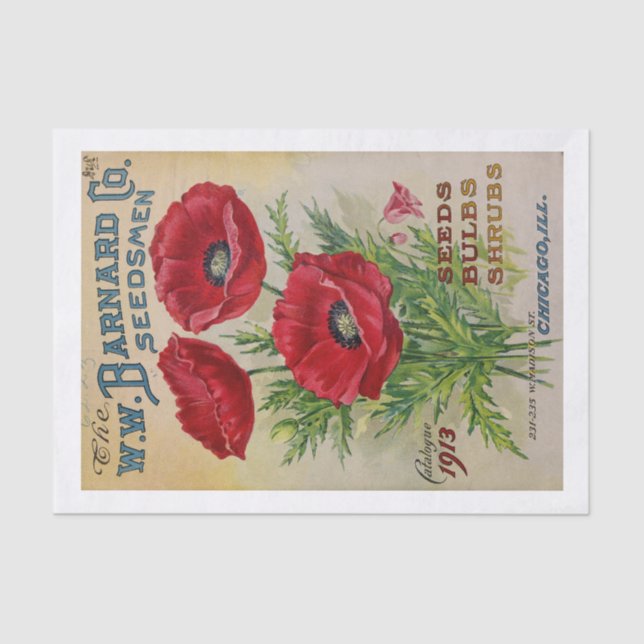 Genuine (not AI) 1913 Seed Catalogue Cover Poppies Tissue Paper (Front)
