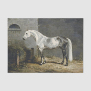Genuine (Not AI) Dapple Grey Horse Painting Tissue Paper