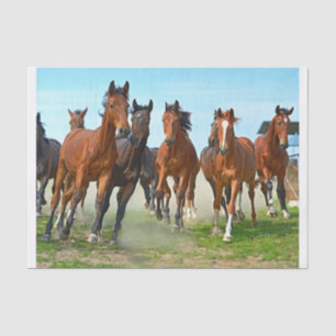 Genuine (not AI) Image of Running Galloping Horses Tissue Paper
