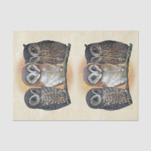 Genuine (Not AI) Pipe Smoking Owls Illustration Tissue Paper