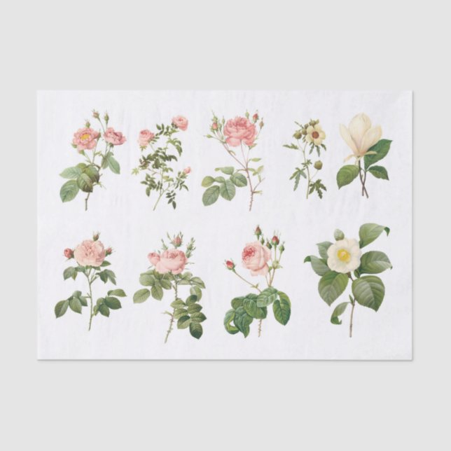 Genuine (not AI) Vintage Botanical Flowers Tissue Paper (Front)