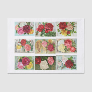 Genuine (not AI) Vintage Seed Catalogue Covers Tissue Paper