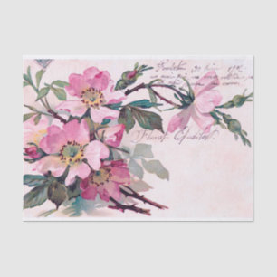 Genuine (not AI) Vintage Wild Rose Postcard Tissue Paper