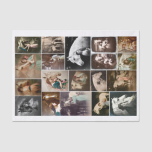 Genuine (not AI) Vintage Women with Horses Photos Tissue Paper