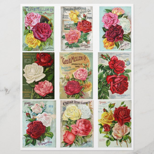 Genuine Vintage Flower Seed Catalogue Covers (Front)