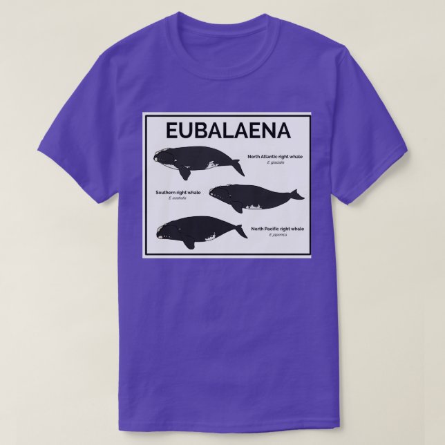 Genus Eubalaena Right Whales T-Shirt (Design Front)