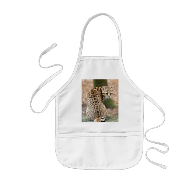 geoffroy-cat-004 kids apron (Front)