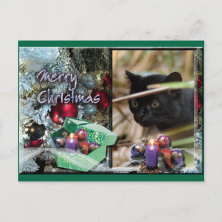 Geoffroy Cat Christmas Postcard