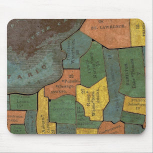 Geographical Analysis of the State of New York Mouse Mat