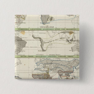 Geographical Distribution 15 Cm Square Badge