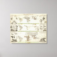 Geographical Distribution