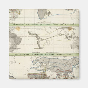 Geographical Distribution Magnet