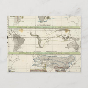 Geographical Distribution Postcard