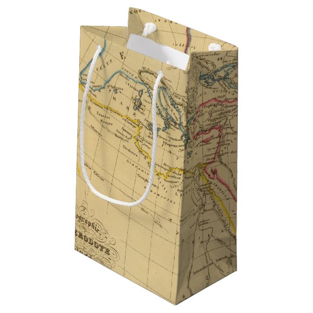 Geography of Herodotus Small Gift Bag (Back Angled)