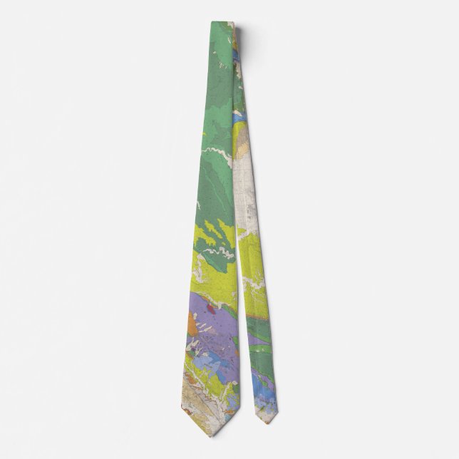 Geologic Map of Westside San Joaquin Tie (Front)