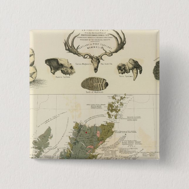 Geological, palaeontological map British Islands 15 Cm Square Badge (Front)
