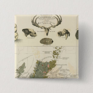 Geological, palaeontological map British Islands 15 Cm Square Badge