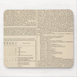 Geology and Paleontology of the British Isles Mouse Mat
