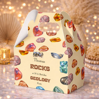 Geology birthday party rocks gemstone favour box