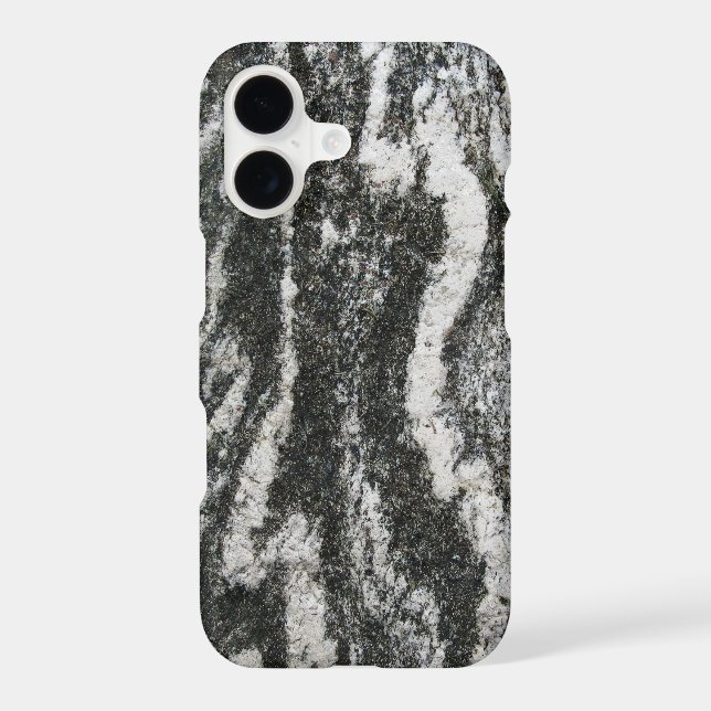 Geology Grey Rock with Feline Pattern (Back)