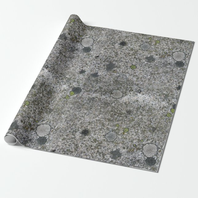 Geology Rock Grey Granite with Green Moss Wrapping Paper (Unrolled)