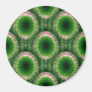 Geometric Gardens.... Magnet