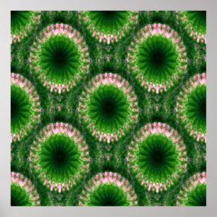 Geometric Gardens...... Poster