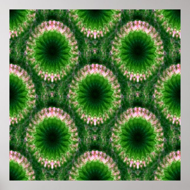 Geometric Gardens...... Poster (Front)