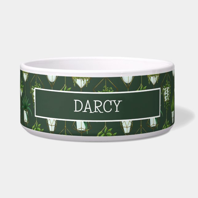 Geometric Hanging Houseplant Pattern (Front)