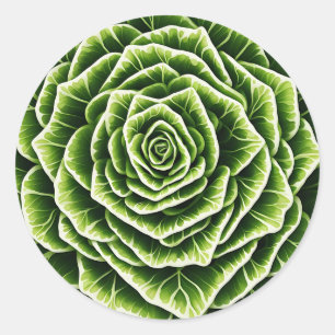 Geometric Lettuce Pattern Blending Nature  Classic Round Sticker